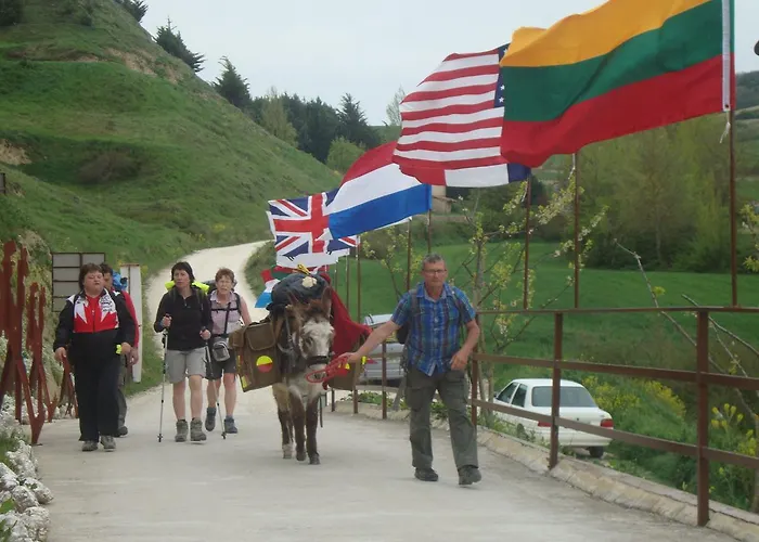 酒店 圣地亚哥酒店 贝洛拉多
